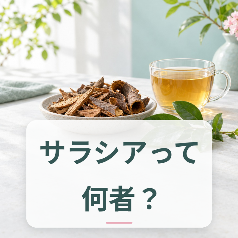 サラシアレティキュラータの植物素材と食品区分の解説