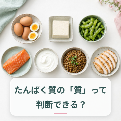 アミノ酸スコアと食品のたんぱく質の質を解説する記事