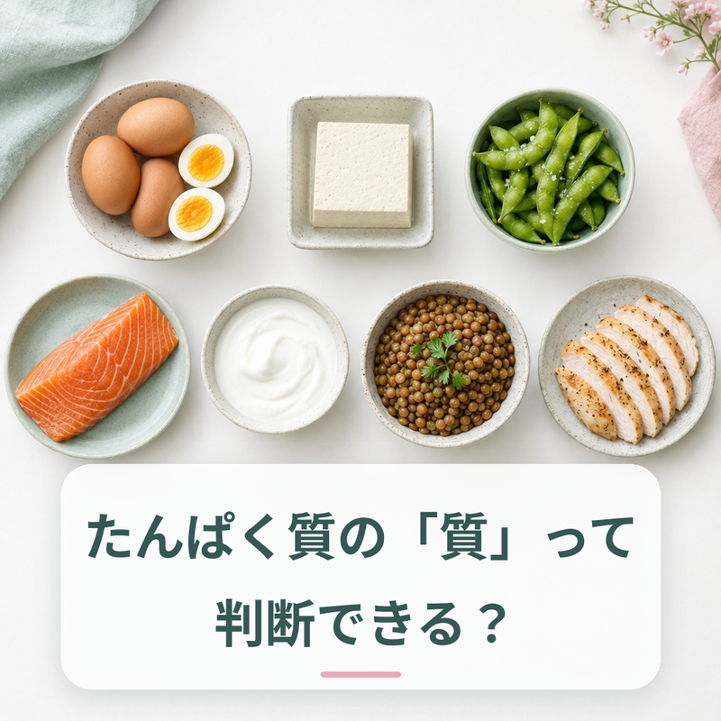 アミノ酸スコアと食品のたんぱく質の質を解説する記事