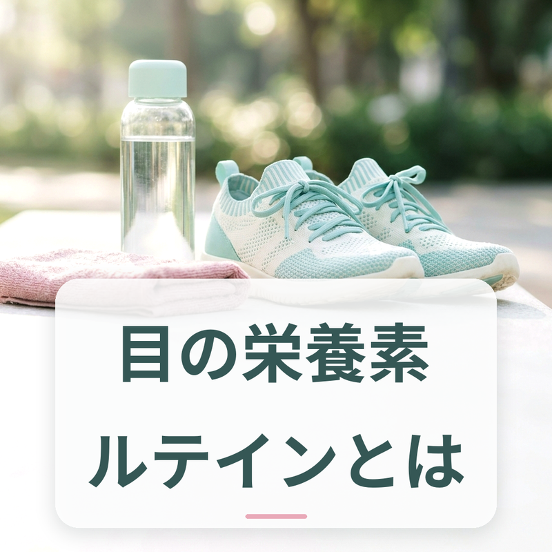 ルテインを多く含む緑黄色野菜