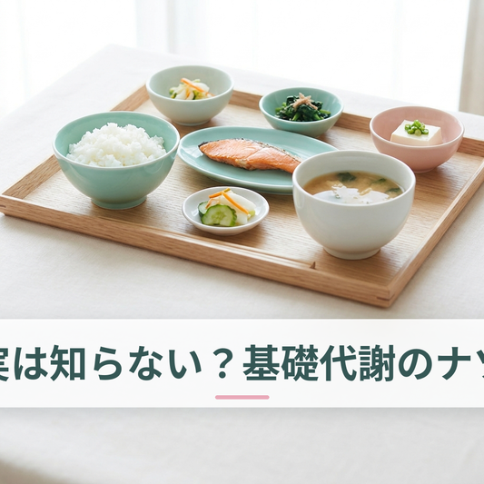 基礎代謝と食事習慣の解説