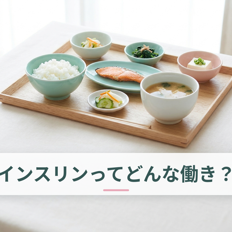 バランスの良い食事とインスリンの働き