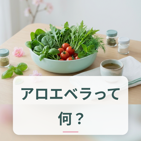 アロエベラの葉と透明なゲル部分
