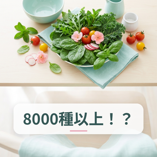夏野菜と果物・茶など多様な植物性食品のイメージ