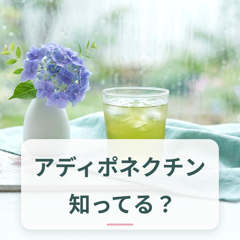 アディポネクチンと食事に関する解説記事