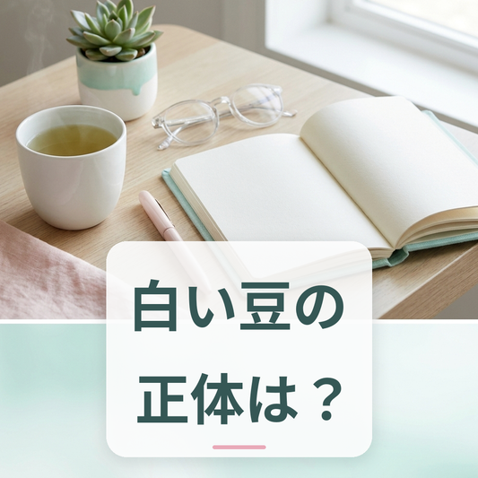 乾燥した白インゲンマメと木のスプーン（食品素材の紹介）