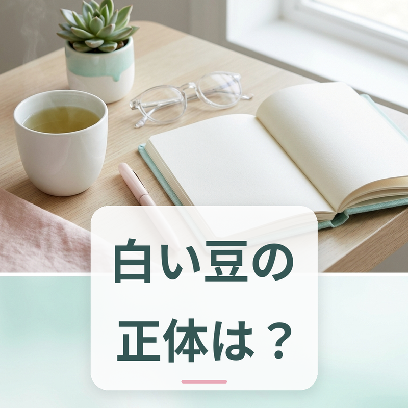 乾燥した白インゲンマメと木のスプーン（食品素材の紹介）