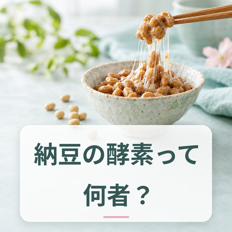 発酵食品と腸活のイメージ