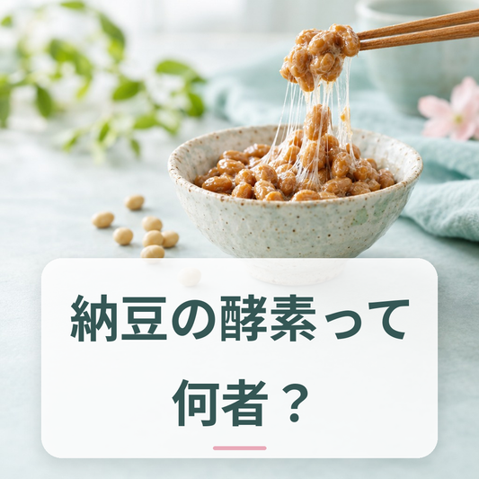 発酵食品と腸活のイメージ