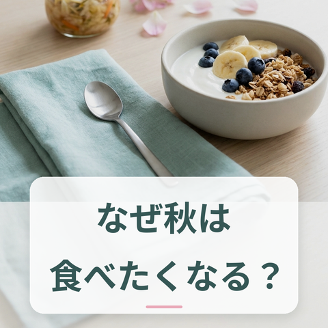 秋の旬野菜と食事
