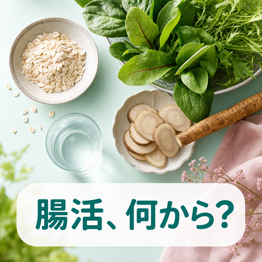 食物繊維(イヌリン・難消化性デキストリン)とは？2026年に再注目される腸内環境の基礎知識